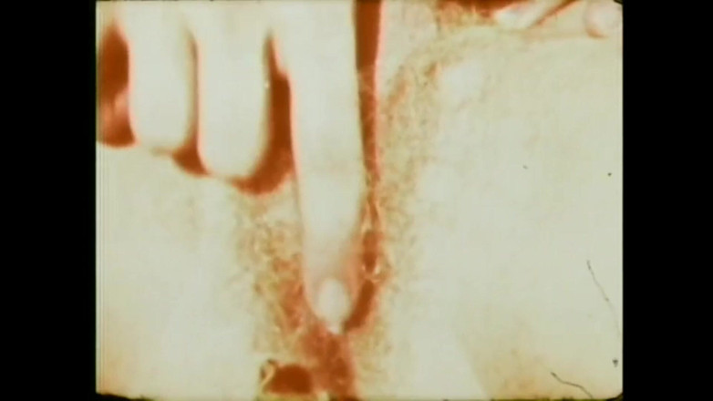 Vintage Megastore Full hd: Kegilaan faraj saya