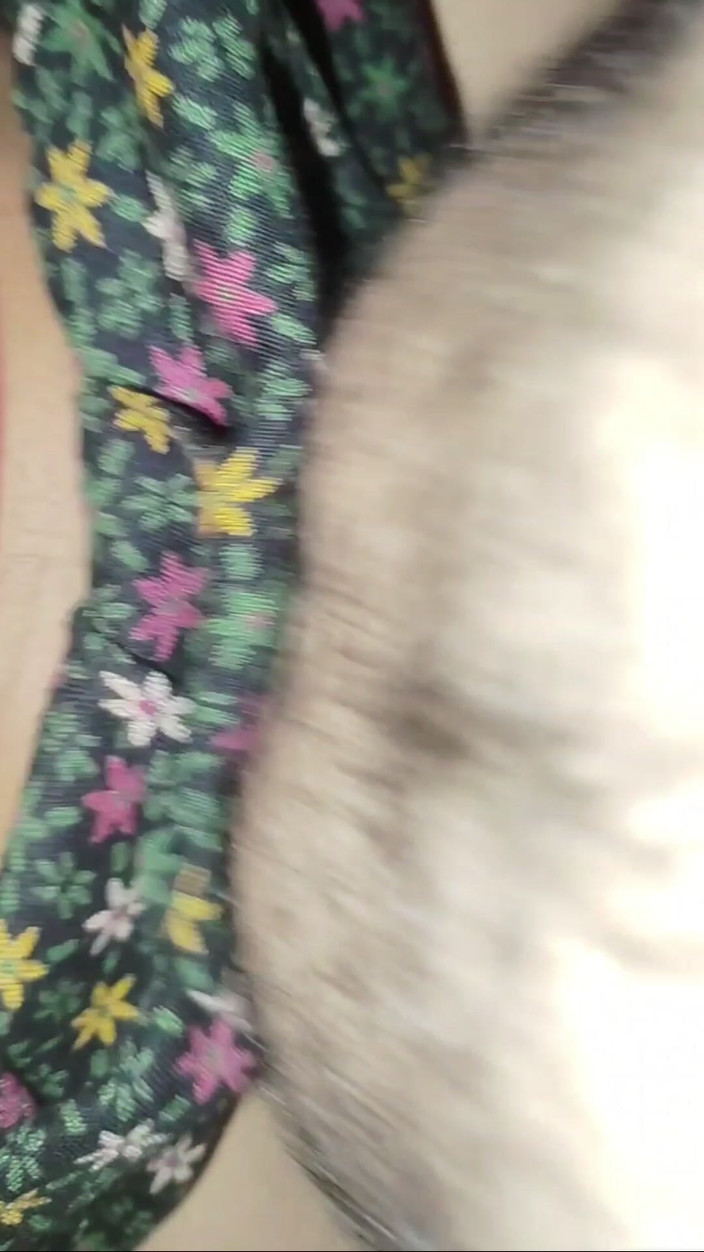 Desifukraa: 用粗大的鸡巴摩擦她的阴蒂操她紧致的阴户