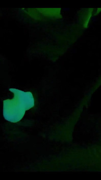 Sinnovator Introduced Me to Sean