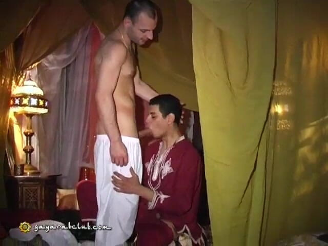 Gay Arab Club: GayArabClub - kontol arab enak