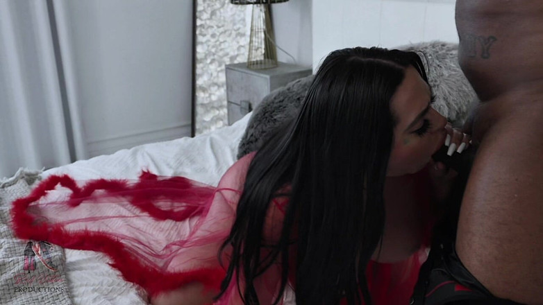 Red bottom productions: Shadow Latin Beauty BBC Dick Down