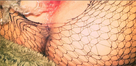 WildFlawiii: Real esposa amateur, en pantimedias jugando con su coño mojado...