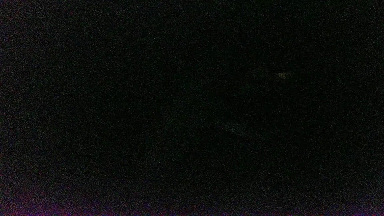 Virtual ToyBoy: Délicieux sac fou à cum !