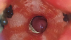 Tommhot: Nouvelle vidéo de fucking fruit. Le tour de papaye