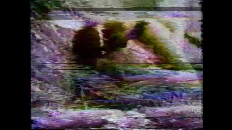 Vintage megastore: L'amante Selvaggio