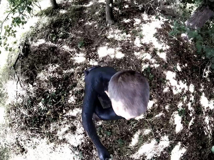 Andy: 65'in sonuncusu