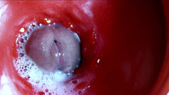 SEXY_GUYBEST: एक मीठे छेद में शुक्राणु की बहुत करीब विशाल धाराएं asmr गीली स्कॉल्च