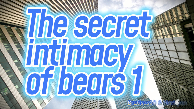 Hairyan: The Secret Intimacy of the Bears 1 4K