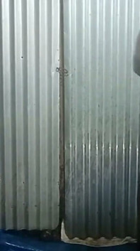 Shower Sex Video