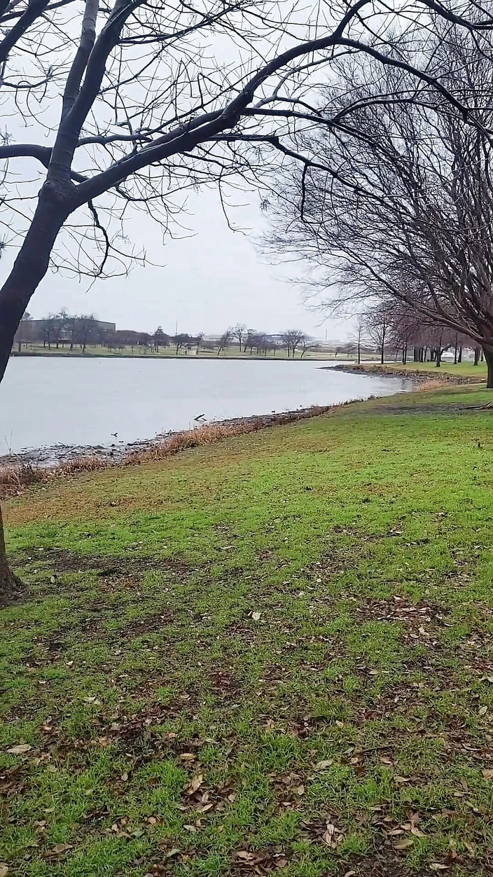 UrethralSound: 댈러스 호텔 욕조의 요도 진동기 2대 사정