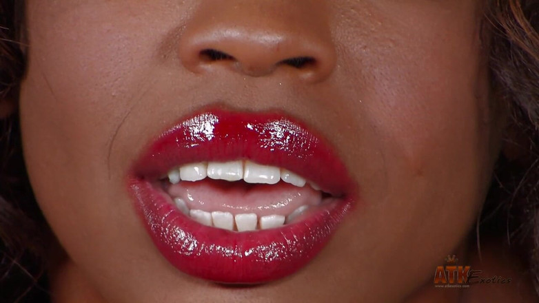 ATK Exotics: साक्षात्कार