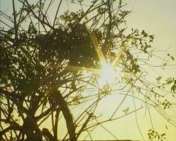 Vintage Movies XXX Best of: La vacanza è per scopare - piccola figa scopata dalla casa sulla...