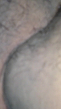 Aventurile crescatorilor negri 04