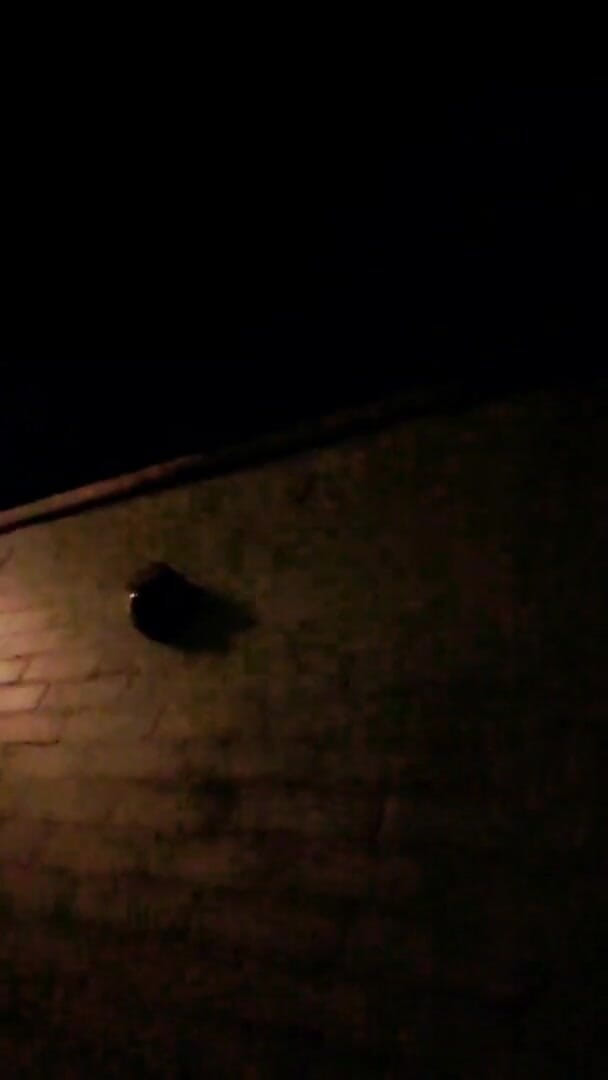 Slutboyben: Slutboyben cam4 brainfukked utomhus gris II gasstation cumshot