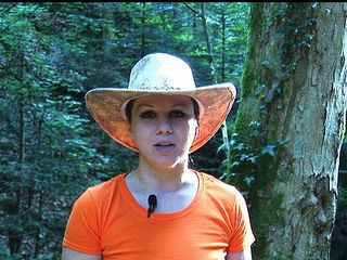 Lydia Privat: 정글캠프 만들기