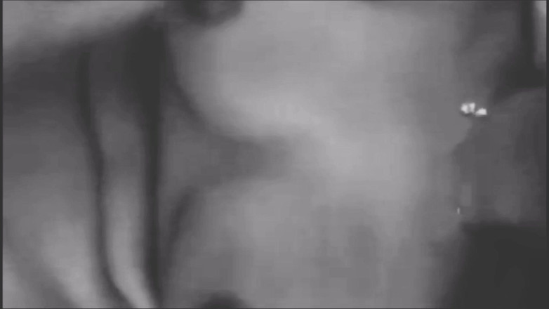 Sanayababhi: Say Me I Am Your Whore Indian Indian Viral Blowjob...