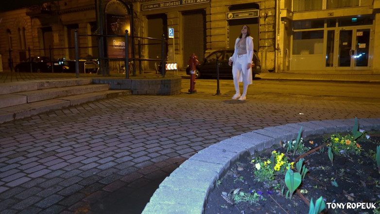 Tony Rope: Tony Rope Meets- Lana Analise