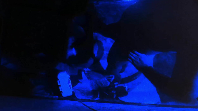 Busty Banuu: Indisches heißes paar fickt