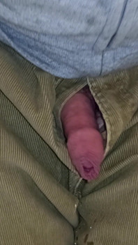 Z bliska sikanie cumming i sika ponownie, moczenie kabli w łazience - Rockard Daddy