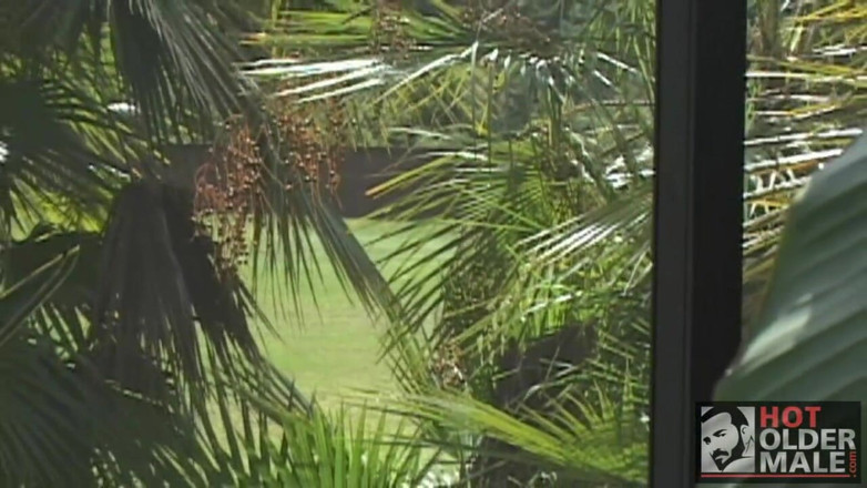 Pantheon men: Medvědi v ráji: Nick a Tim