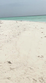 Marina Gold Pee Compilation Maldives