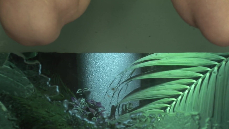 Pee porn: 18세 이상 할망구