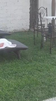 Nagrałem moją przyrodnią siostrę opalającą się nago i masturbując się w ogrodzie