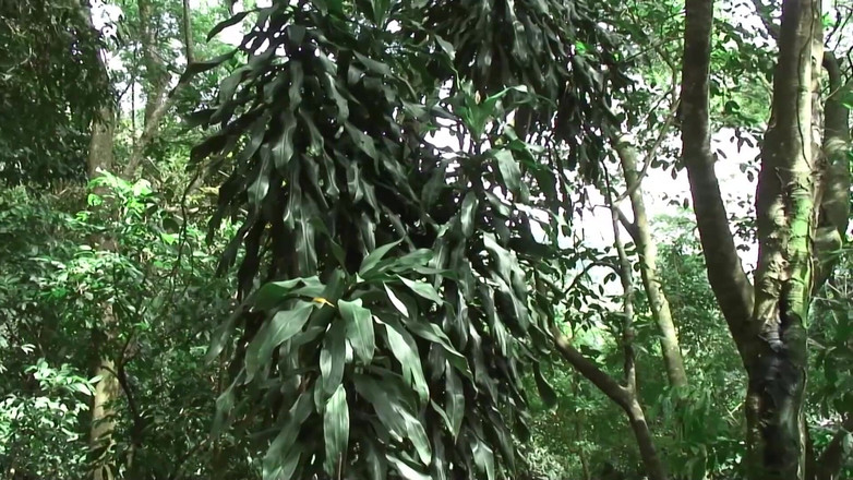 Point X movie and clips horny girls want to fuck: Tělo Teplo Gay Hunks Zdvih a Sát sexy ptáky