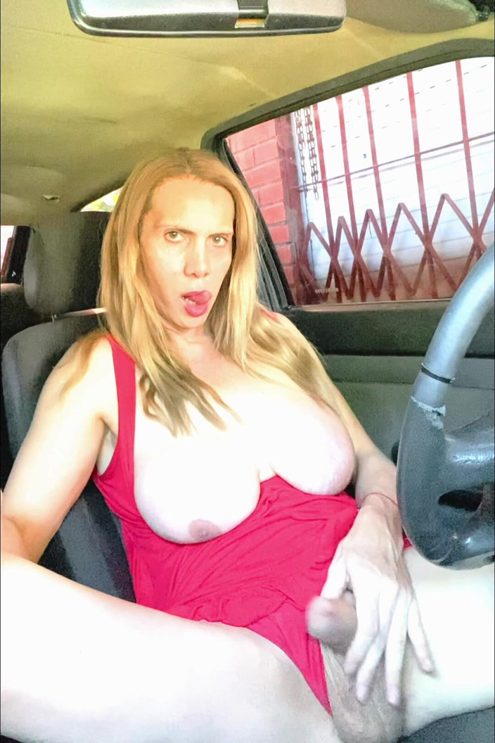 Devil_trans_sami: Trochu se dotýkám v autě