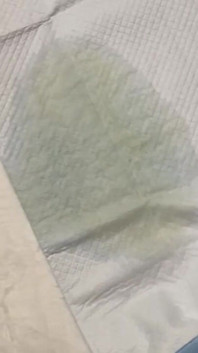 My squirting