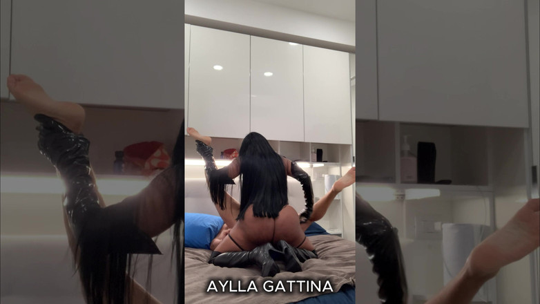 Aylla Gattina: 艾拉·加蒂娜的辣味场景
