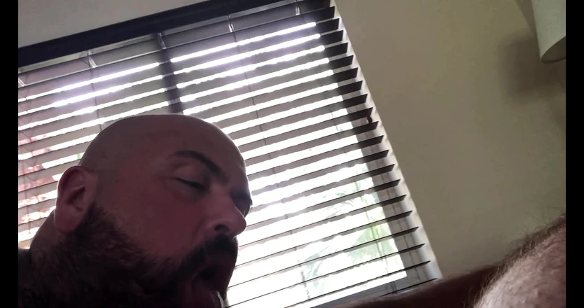 Djemelloxxxx: The Hungry Pig Returns 2 4K