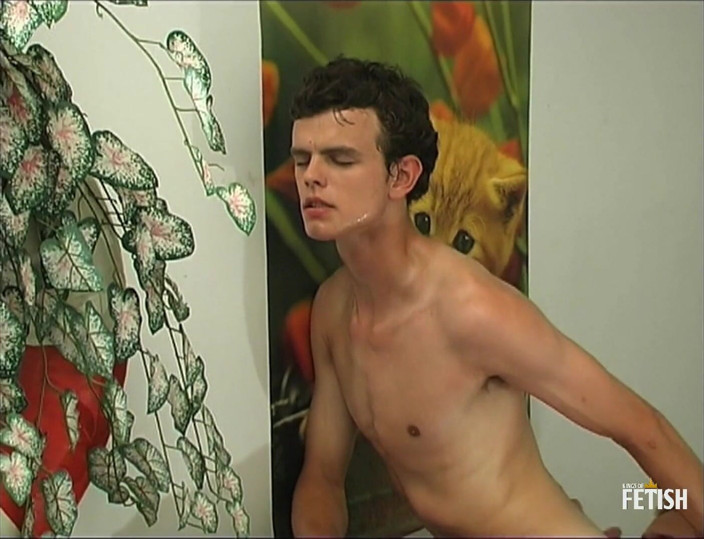 Gay Diaries: Homo twink kust en zuigt harige lul van zijn vriend...