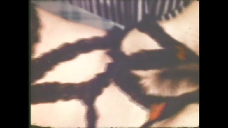 The Unforgettable: टीना घृणित जंगली फूहड़