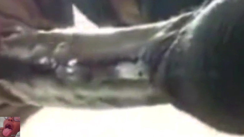 Wildwood21519: Blowjob pancutan mani terbaik