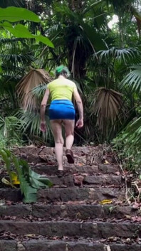 Walking up Old Stairs in the Hawaiian Rainforest