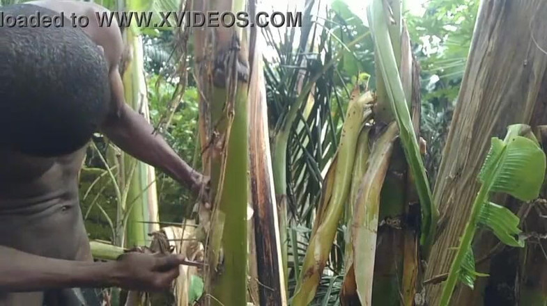 Bangcum8: Muž sám v lese a udělat jitrocel je manželka a šuká...