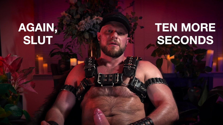 Wade Wolfgar: 코치 의붓아빠의 Goon과 베이트 보난자