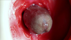 SEXY_GUYBEST: Wielki orgazm wewnątrz odbytu! Fantastyczny jęczący orgazm i dużo spermy!