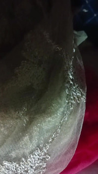 XXX Hmaster Prite Rahul Videos