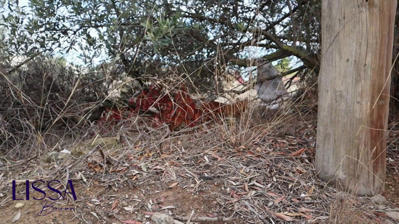 Lissa Brown: Pantatku dientot sama hewan peliharaanku di hutan
