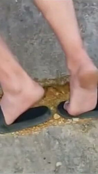 Zapatillas 5