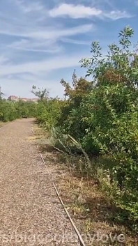 Un femboy al azar masturba mi polla y se come mi semen en un parque
