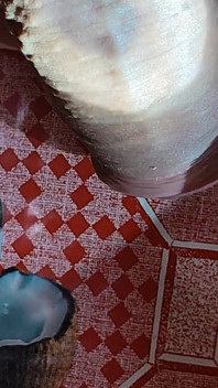 Young Stepdaddy Gets His Wrinkled Dick X-rayed.