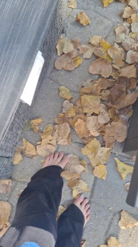 Seksi çıplak ayaklar kuru yapraklar kıvrıyor