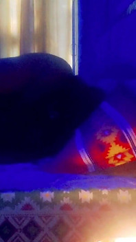 Hotwife Ankita Ki Chudai Oyo Hotel Me Fidanzato Ne Ki