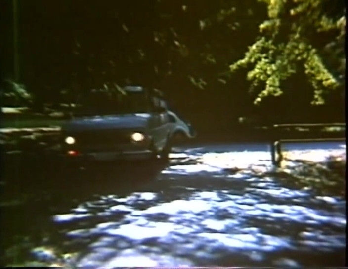 Vintage Usa: The legend of porn - USA 1969, the beginning - Scene 18