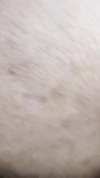 Desi meia-irmã primeira vez ser fodida, em sua buceta apertada pelo próprio meio-irmão caseiro sexo diurno desi menina apertada buceta xxx Vid