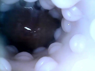 Harlo_salem: Internal closeup fucktoy