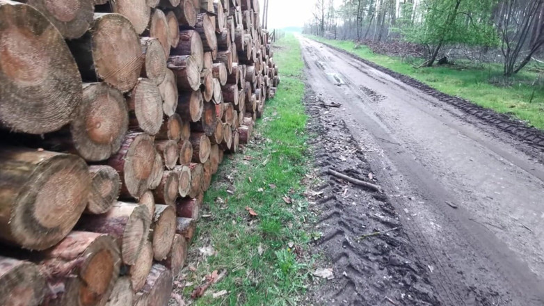 Bouncy Tits Action: Halte dich nackt und lass mich deine titten bestrafen